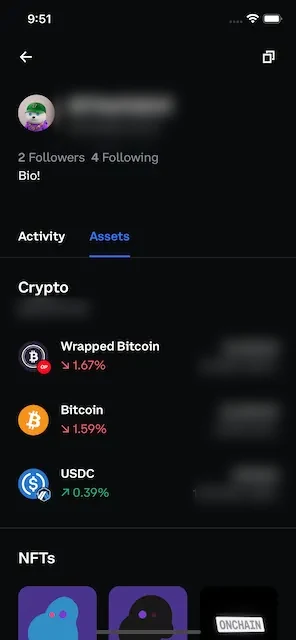 Profile assets with a crypto balance