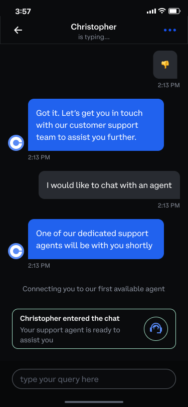 The chat handing over, reading Christopher entered the chat above a message box